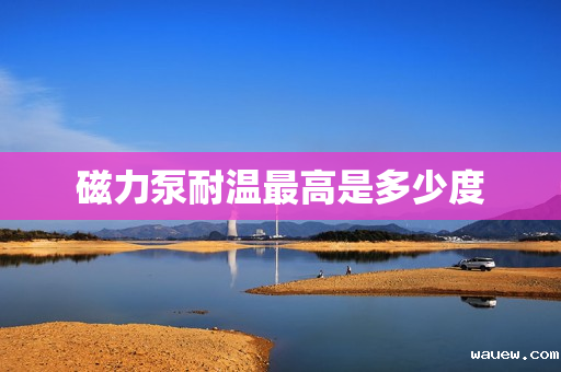 磁力泵耐温最高是多少度