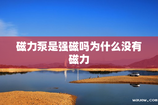 磁力泵是强磁吗为什么没有磁力