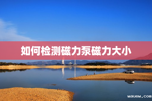 如何检测磁力泵磁力大小