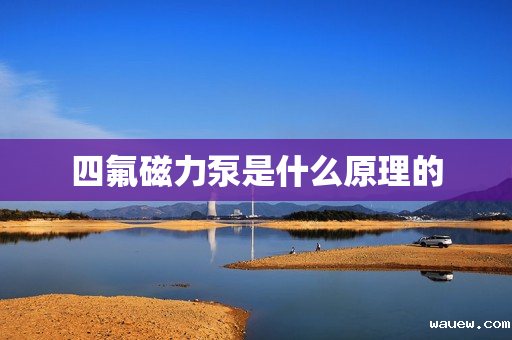 四氟磁力泵是什么原理的