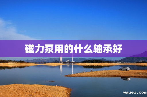 磁力泵用的什么轴承好