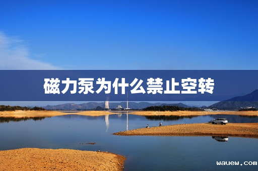 磁力泵为什么禁止空转