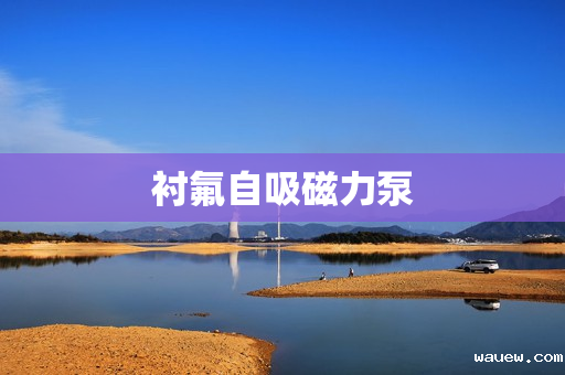 衬氟自吸磁力泵