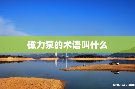 磁力泵的术语叫什么