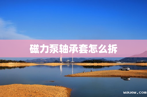 磁力泵轴承套怎么拆