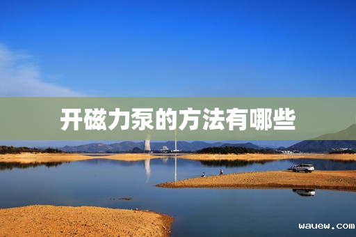 开磁力泵的方法有哪些