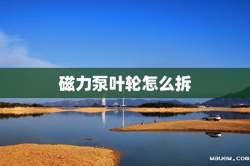 磁力泵叶轮怎么拆