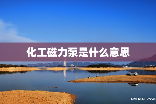 化工磁力泵是什么意思