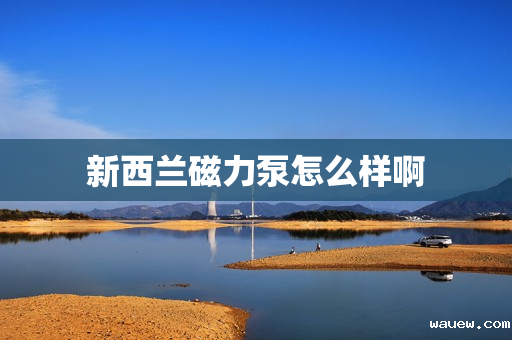 新西兰磁力泵怎么样啊