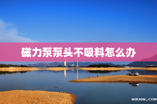磁力泵泵头不吸料怎么办