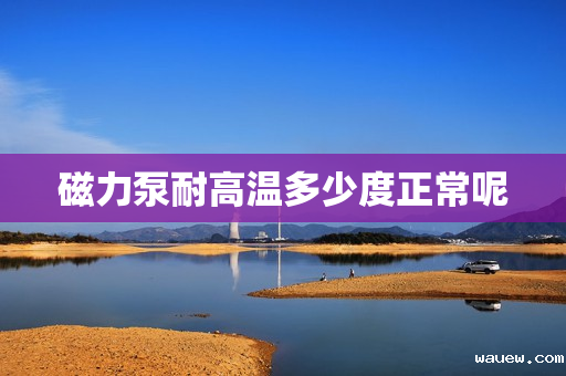 磁力泵耐高温多少度正常呢