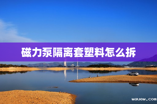 磁力泵隔离套塑料怎么拆