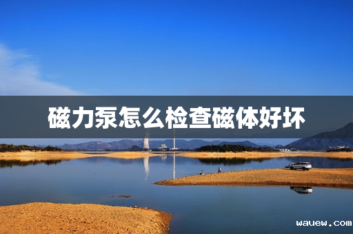 磁力泵怎么检查磁体好坏