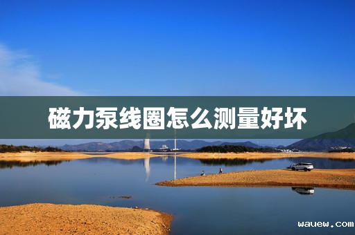 磁力泵线圈怎么测量好坏