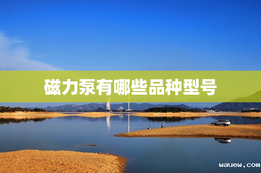 磁力泵有哪些品种型号