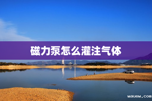 磁力泵怎么灌注气体