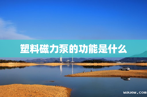 塑料磁力泵的功能是什么