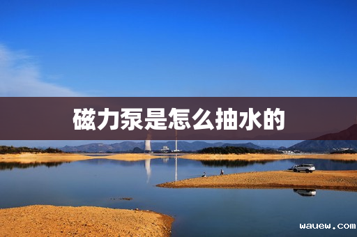 磁力泵是怎么抽水的