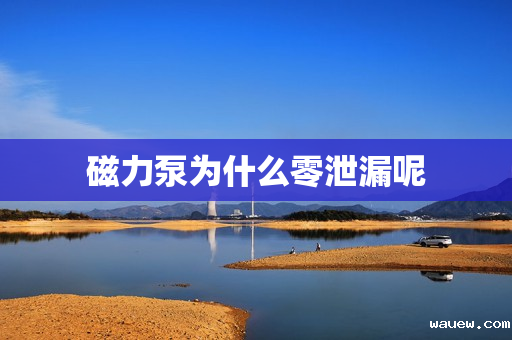 磁力泵为什么零泄漏呢