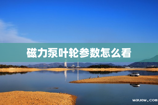 磁力泵叶轮参数怎么看