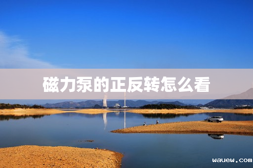 磁力泵的正反转怎么看