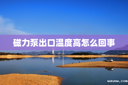 磁力泵出口温度高怎么回事