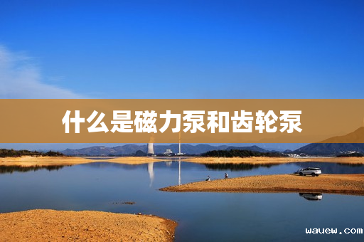 什么是磁力泵和齿轮泵