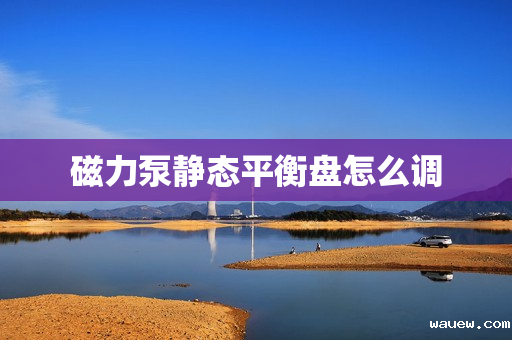 磁力泵静态平衡盘怎么调