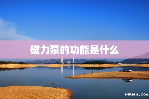 磁力泵的功能是什么