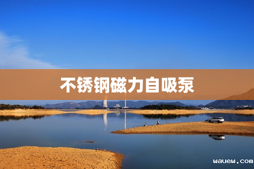 不锈钢磁力自吸泵