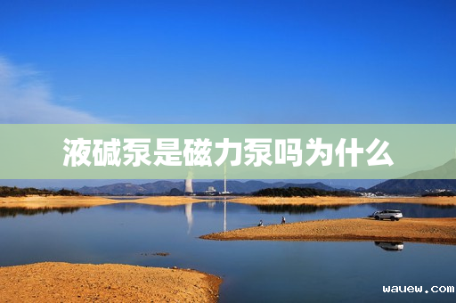 液碱泵是磁力泵吗为什么