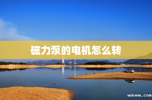 磁力泵的电机怎么转