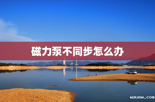 磁力泵不同步怎么办