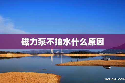 磁力泵不抽水什么原因