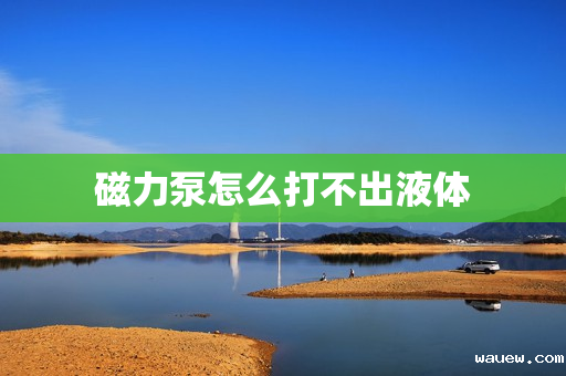 磁力泵怎么打不出液体