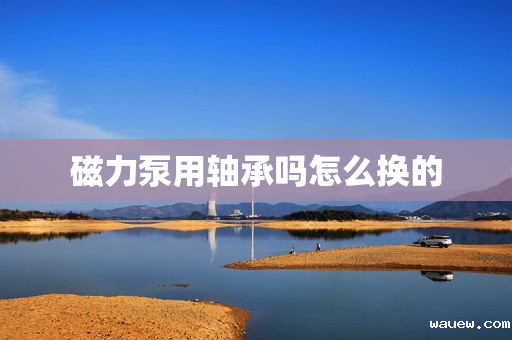 磁力泵用轴承吗怎么换的