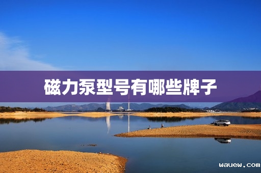 磁力泵型号有哪些牌子