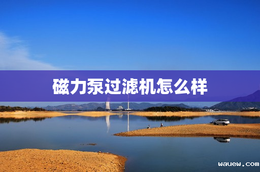 磁力泵过滤机怎么样