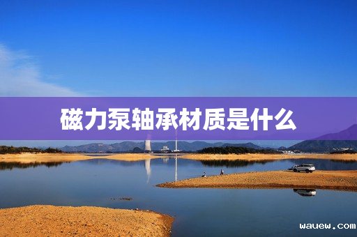 磁力泵轴承材质是什么