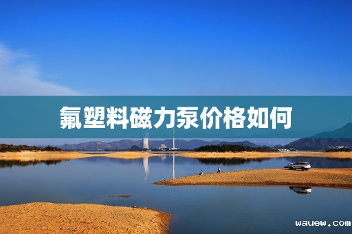 氟塑料磁力泵价格如何