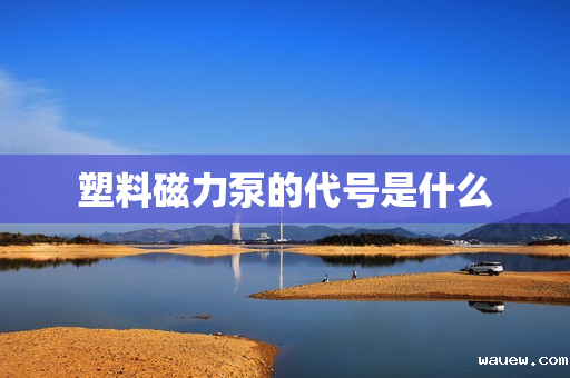 塑料磁力泵的代号是什么