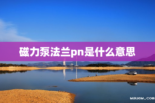 磁力泵法兰pn是什么意思