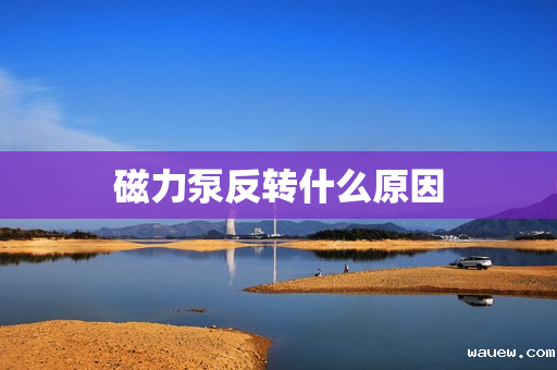 磁力泵反转什么原因