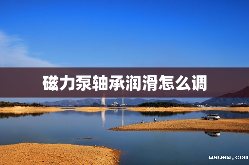 磁力泵轴承润滑怎么调