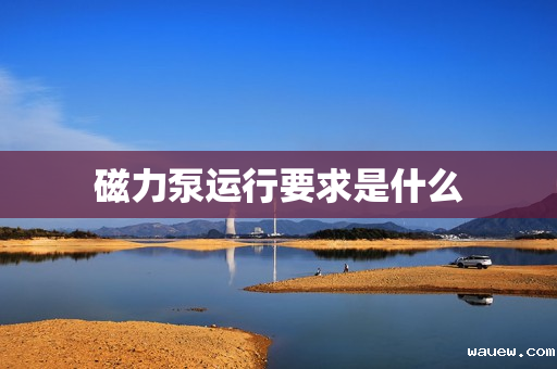 磁力泵运行要求是什么