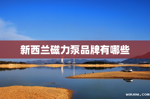 新西兰磁力泵品牌有哪些