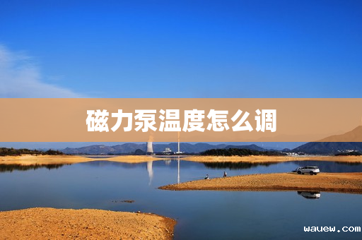 磁力泵温度怎么调