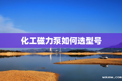 化工磁力泵如何选型号