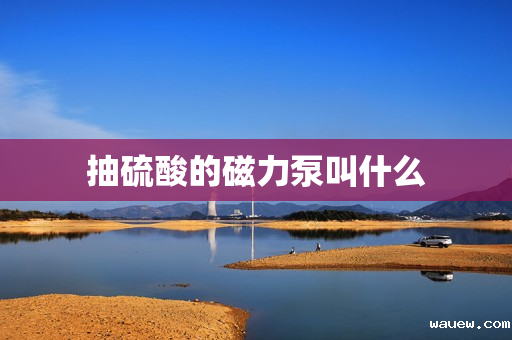 抽硫酸的磁力泵叫什么