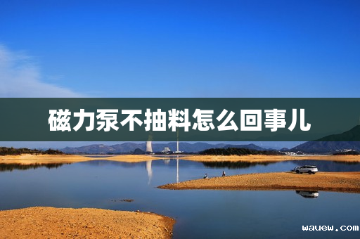 磁力泵不抽料怎么回事儿